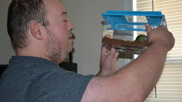 Sean lifts up the hermit crab habitat to see what it's doing