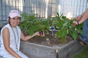 woman holds up an eggplant from the raised vegetable bed