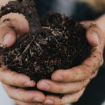 photo of hands holding dirt, green thumb gardening