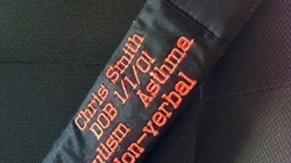 photo of embroidered seat belt covers