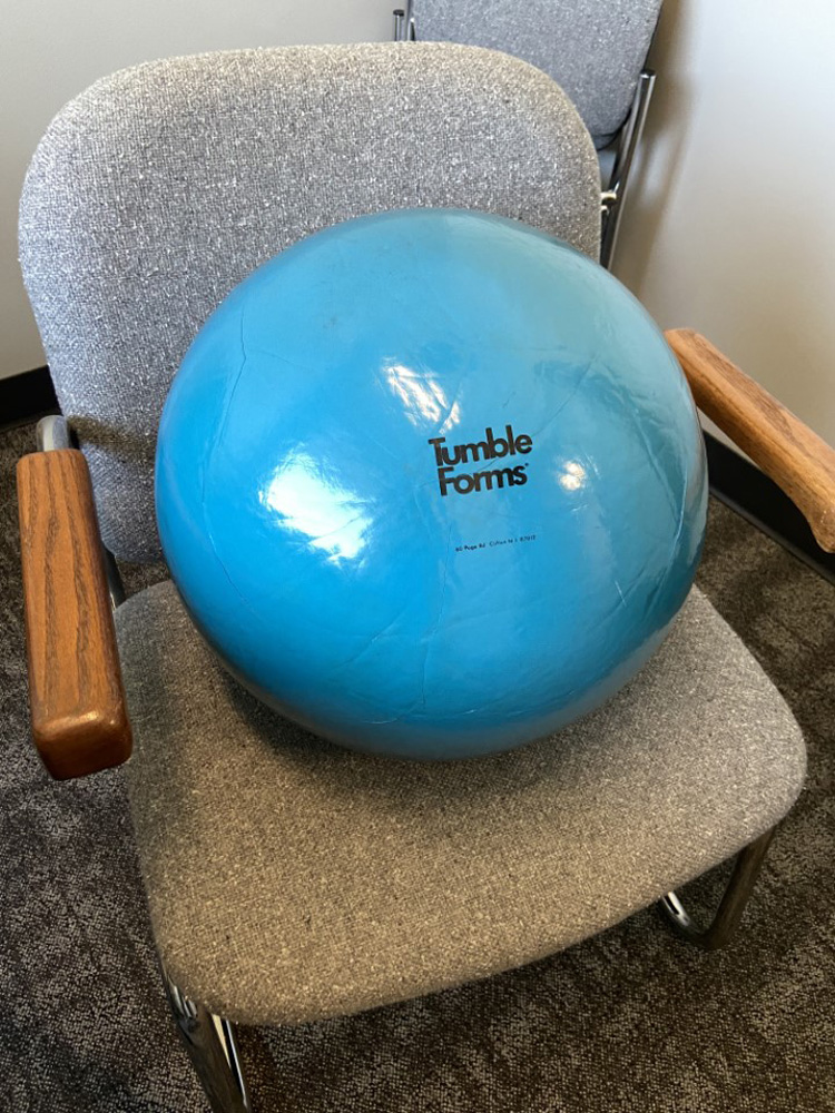 Therapy Ball medium