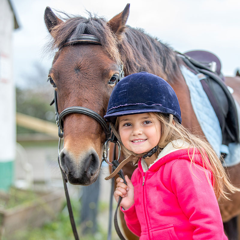 A smiling elementary age girl is wearing a riding helmet and fuzzy pink sweatshirt holding the reins of a horse that is close to her face.