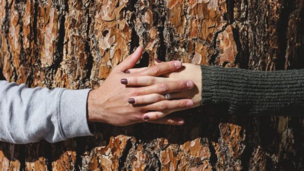 Up close of two hands interlocking around a tree.